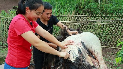 吹蜡烛游戏的秘诀!当看到李晨的姿势后,张艺兴才恍然大悟