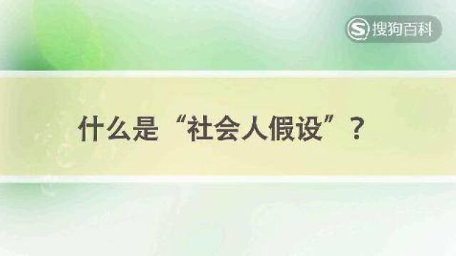 立懂百科什么是“社会人假设”?