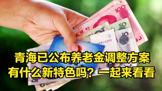 青海已公布养老金调整方案,有什么新特色吗?一起来看看