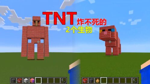 我的世界:tnt竟然炸不死铁傀儡和古力帕畏惧的生物!