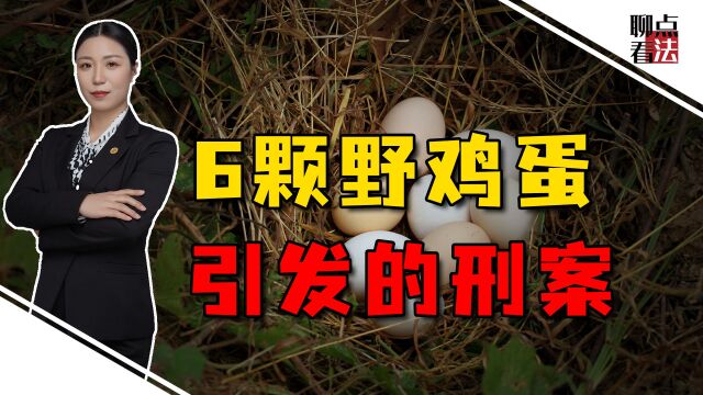 村民放牛捡回家6颗野鸡蛋,咋就成了刑事犯罪,罚款3000多不多