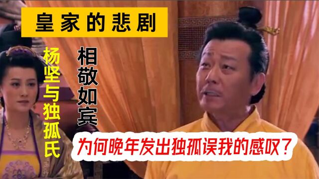 杨坚作为一个爱妻狂魔,为何晚年会说独孤氏误我,独孤氏做了什么