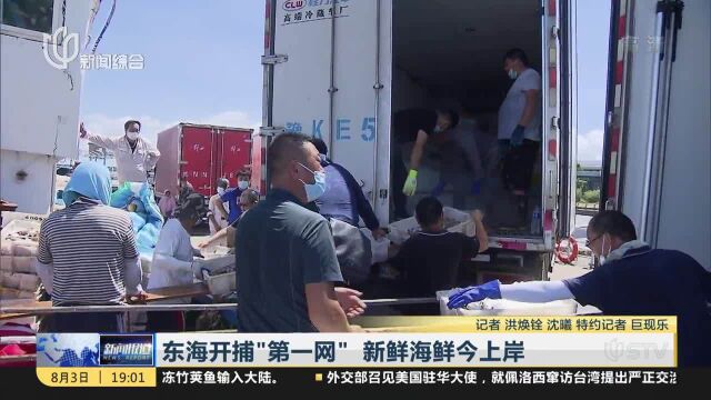 东海开捕“第一网”新鲜海鲜今上岸