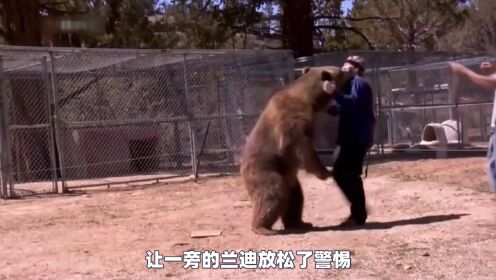 史上最猛驯兽师 表演意外致弟弟被灰熊咬死！