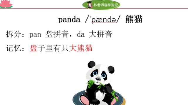 人教精通版英语五年级上册,panda、bear记单词老是忘怎么办,英语自然拼读是什么?