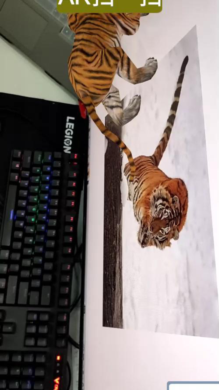 ar老虎园老虎园_腾讯视频