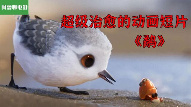 超级治愈的动画短片《鹬》