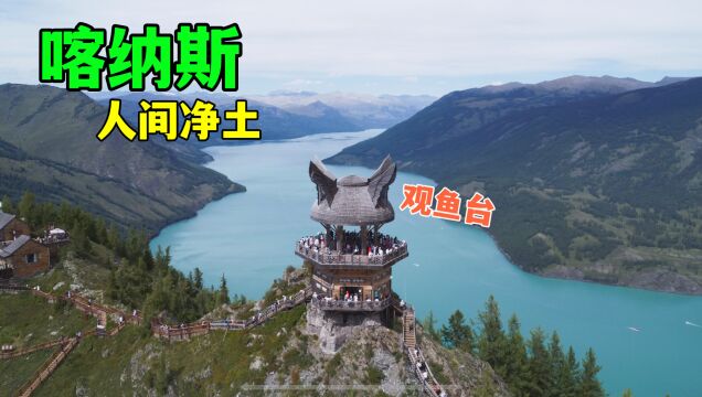 游览喀纳斯三湾(神仙湾、月亮湾、卧龙湾)