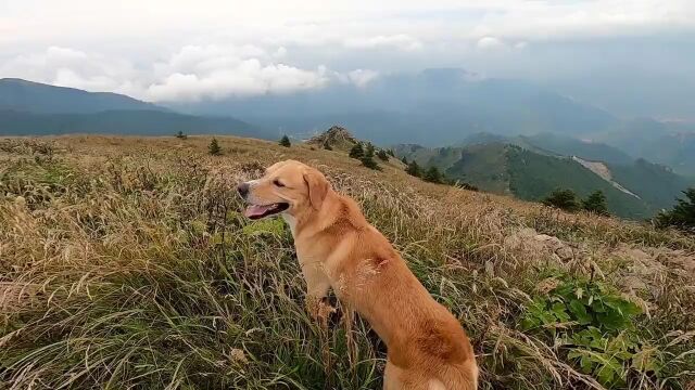 8.198.20 城市逃离丨云海山脊线上的西灵山