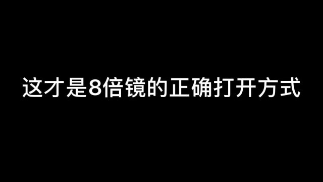 我爱八倍镜,不会还有人用八倍镜是瞄准的吧