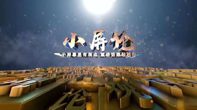 小屏论 | 以数字重塑城市 以智慧共创未来