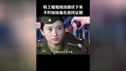 特工姐姐成功潜伏下来 不料妹妹竟在查找证据