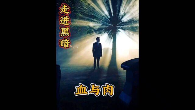 高悬疑剧 走进黑暗