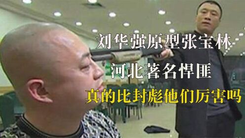 《征服》刘华强原型张宝林,河北著名悍匪,真的像剧中一样厉害吗_高清1080P在线观看平台_腾讯视频