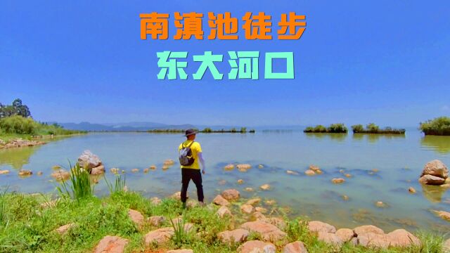 南滇池湿地环湖步道(二),徒步东大河河口,背影大叔的昆明游记