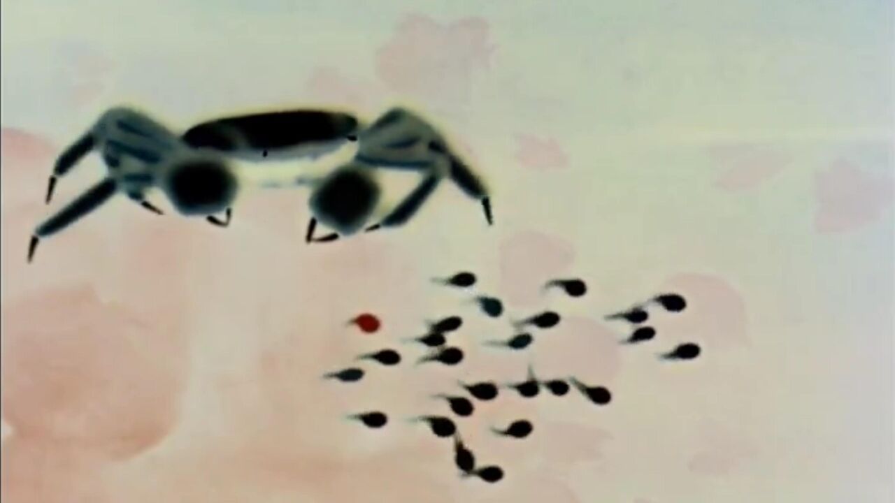 1960年经典水墨动画《小蝌蚪找妈妈》，是全球首部将水墨画与动画相结合的艺术佳品，上映后轰动全球_高清