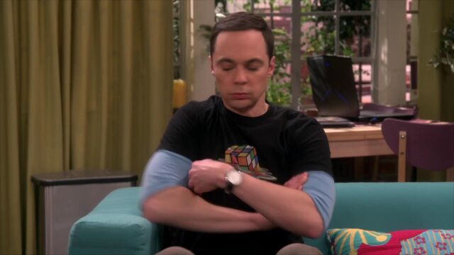 生活大爆炸 Sheldon and Leonard