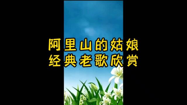 《美丽的风景欣赏~经典老歌曲》