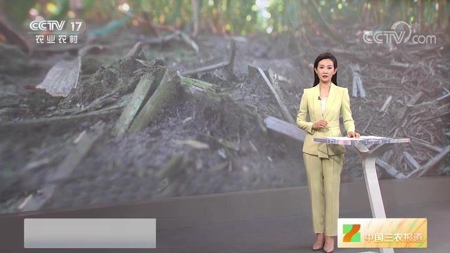 [中国三农报道]吉林:推行免耕播种 提升粮食产能