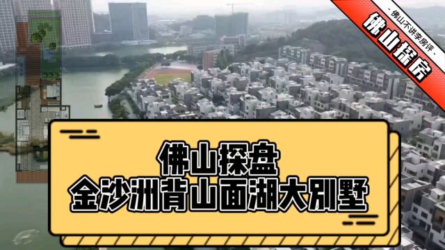 佛山探盘——金沙洲背山面湖大别墅——越秀区老破小的价钱就足够了