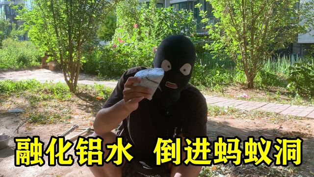 【独家】把铝融化倒进蚂蚁洞,没想到蚂蚁洞这么复杂