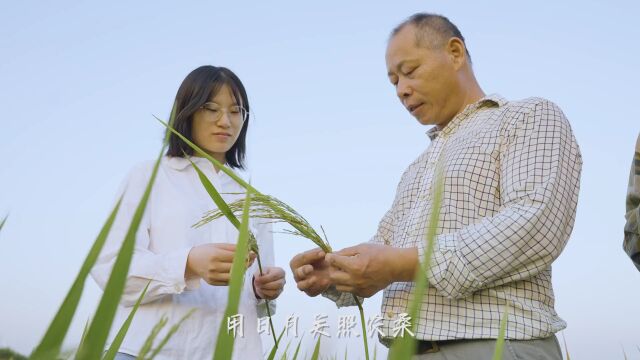 今天!“鄂州顶流”惊艳亮相......