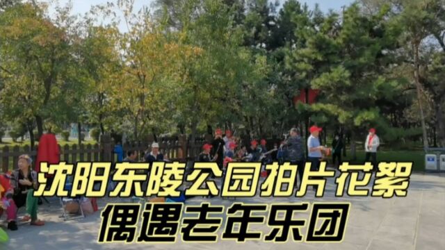 家在沈阳:东陵公园拍片,偶遇老年乐团