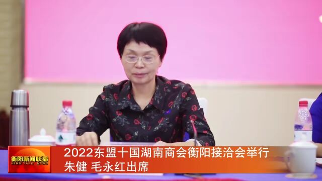 2022东盟十国湖南商会衡阳接洽会举行 朱健 毛永红出席