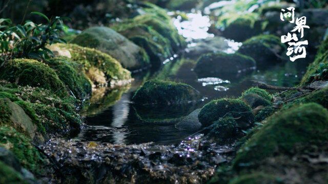 意想不到!无穷小亮科普:水在雨林中竟然这样运作