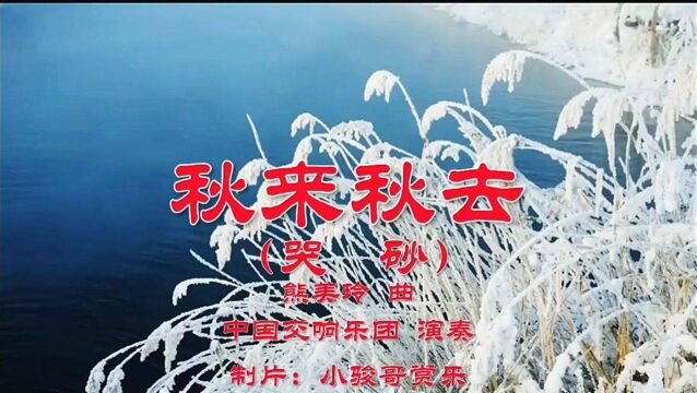 港台歌曲《秋来秋去》,中国交响乐团演奏,经典的魅力