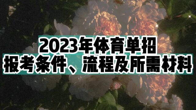 2023年体育单招报考条件、流程及所需材料