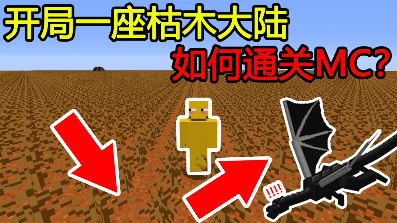我的世界:开局一座枯木大陆,如何通关MC?_腾讯视频