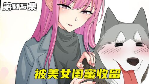 女神家的哈士奇05:重生成为哈士奇,铲屎官闺蜜也是美女