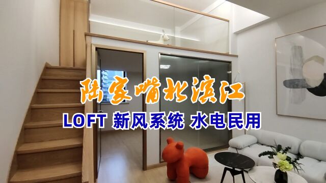 陆家嘴北滨江53平LOFT,水电民用,精装修带新风系统,不限购