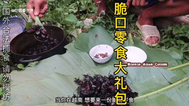 脆口零食大礼包