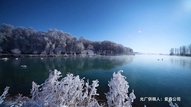 天鹅湖冬季冰雪世界视频素材