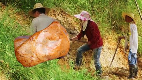 福建村民挖到一块石头，八十年代卖了11万，现在比黄金还要贵
