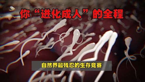 [图]你“进化成人”全过程，2亿精子只有一个能变成人，稍有不慎你就会是“他或她”