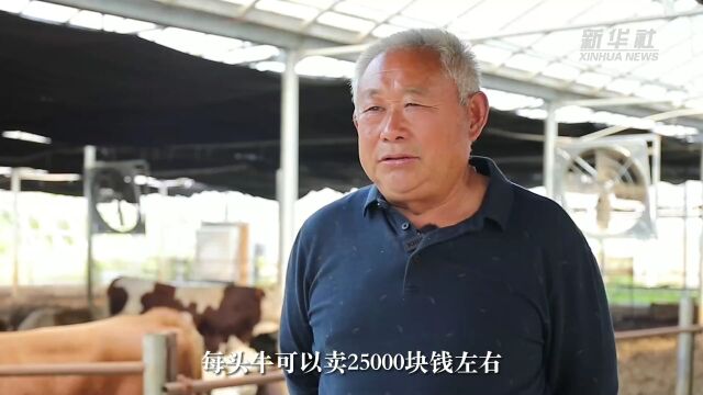 新华全媒+|安徽亳州:“牧光互补” 生态富民