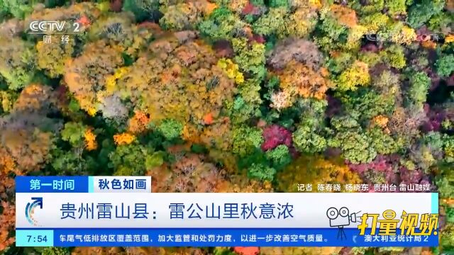 贵州雷山县:丰富植被色彩斑斓,为雷公山披上深秋盛装