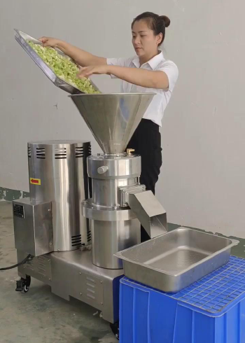 磨粉磨浆机怎么调粗细,新型研磨机,蔬菜磨浆