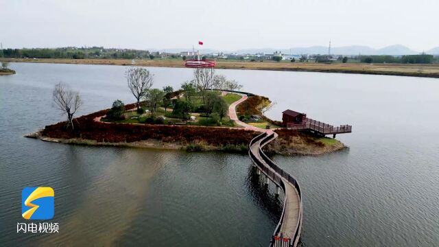 河岸树木染金黄,枣庄蟠龙河秋意浓浓