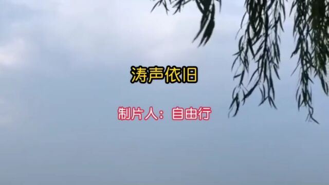 经典歌曲《涛声依旧》