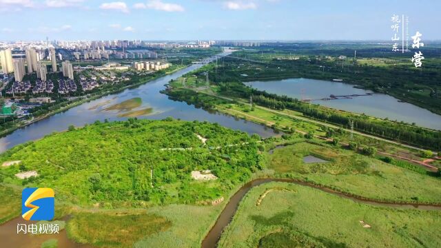 Ecological Dongying, a city of wetlands