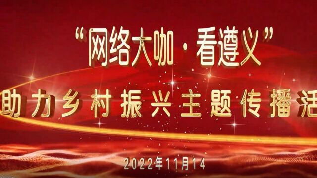 走进遵义东大门凤冈仙人岭 探寻锌硒茶神秘诞生地