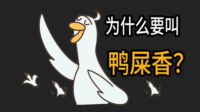 鸭屎香真的有鸭屎嘛?为什么有这么多人喜欢?