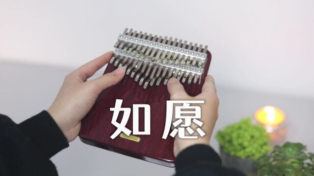 【拇指琴】王菲《如愿》爱你所爱的人间 愿你所愿的笑颜