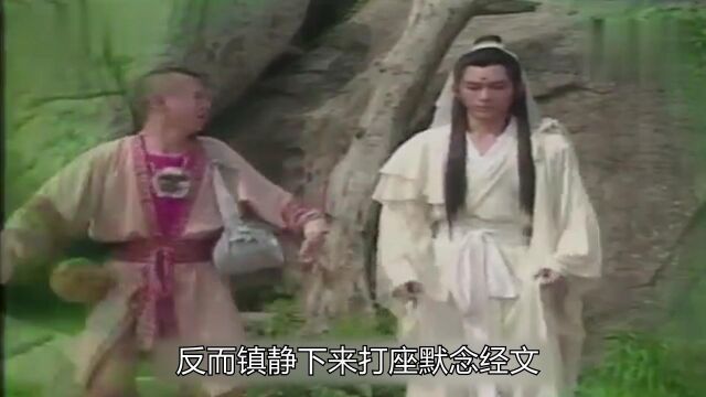 男子普陀山上修行 感受到磁场异常 结果 