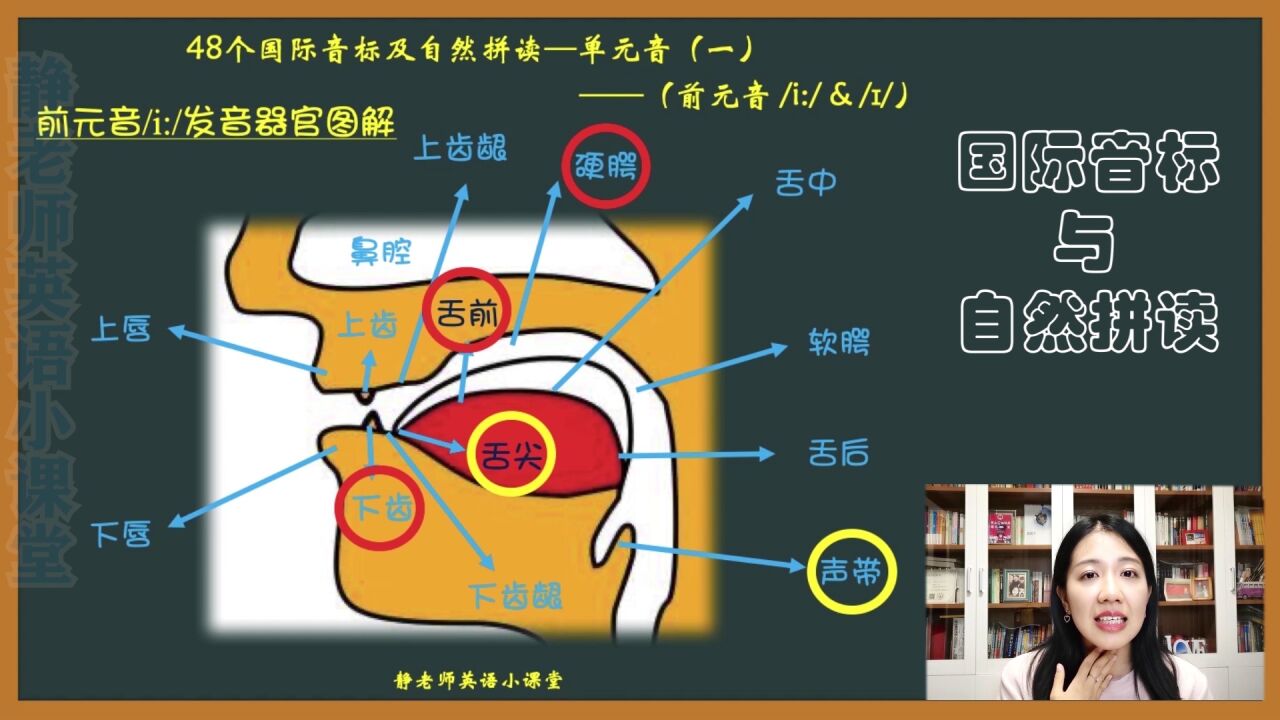 第02集 前元音/i:/详解及自然拼读_高清1080P在线观看平台_腾讯视频