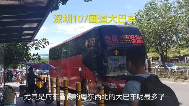 深圳最多大巴车经过的公路107国道,在这里坐车回粤西最方便了